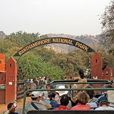 Ranthambore National Park Tour from Jaipur